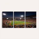 Clemson University Tigers Art Print, Football Team Print -