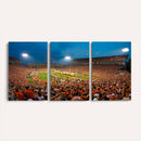 Clemson University Tigers Football Team Print - Clemson