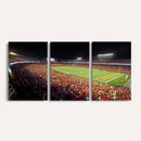 Iowa State University Cyclones Canvas Print, Football Team