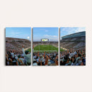 Michigan State Spartans Football Team Art Print - East