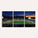 Michigan State Spartans Football Team Print - East Lansing