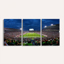Michigan State Spartans Football Team Print - East Lansing