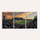 Michigan State Spartans Football Team Print - East Lansing