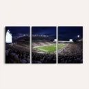 Michigan State Spartans Canvas, Framed Football Team Print -