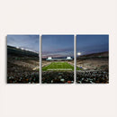 Michigan State Spartans Football Team Print - East Lansing