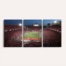 Ohio State University Buckeyes Football Team Print -