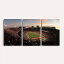 Ohio State University Buckeyes Football Team Print -