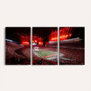 Ohio State University Buckeyes Football Team Print -
