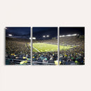 University of Oregon Ducks Football Team Print - Eugene