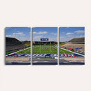Rice University Owls Football Team Print - Houston Rice
