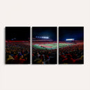 Rutgers Scarlet Knights Football Team Print - SHI Stadium,