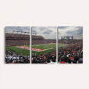 Rutgers Scarlet Knights Football Team Print - SHI Stadium,