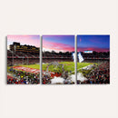 Stanford University Cardinal Football Team Print - Stanford