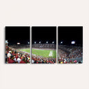Stanford University Cardinal Football Team Print - Stanford