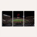 Framed Texas Tech Red Raiders Stadium Canvas, Texas Tech Red