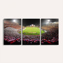 University of Maryland Terrapins Football Team Print -