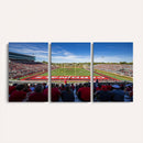 Ball State Cardinals Football Team Print - Muncie Scheumann