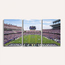 TCU Horned Frogs Football Team Print - Fort Worth Amon G.