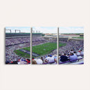 The Texas Christian University TCU Horned Frogs Football