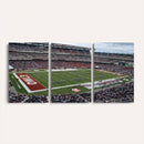 The Temple University Owls Athletics Team Print -