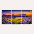 The Louisiana State University Tigers Football Team Print -