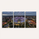 The Louisiana State University Tigers Football Team Print -