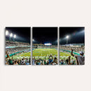 The Tulane University Green Wave Football Team Print - New
