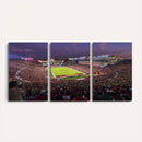 The University of Southern California USC Trojans Football