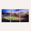 The University of Southern California USC Trojans Football