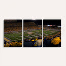 West Virginia Uni Mountaineers Football Team Print - Milan
