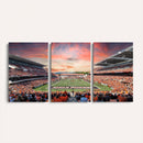 Oregon State Beavers Football Team Print - Corvallis Reser