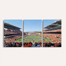 Oregon State Beavers Football Team Print - Corvallis Reser