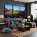 Cincinnati Reds Baseball Canvas Print - American Ball