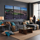 South Carolina Gamecocks Football Team Print - Columbia