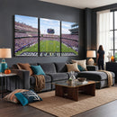 TCU Horned Frogs Football Team Print - Fort Worth Amon G.