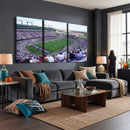 The Texas Christian University TCU Horned Frogs Football