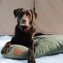 Dog Bed by White Duck Outdoors