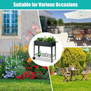 Raised Garden Bed Elevated Planter Box on Wheels Steel Planter with Shelf-Black by LJGDeals