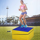 Folding Incline Mat Slope Cheese Gymnastics Gym Exercise Yellow by LJGDeals