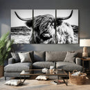 Black and White Scottish Cow Canvas Wall Art Highland Cattle by MyGreatCanvas | Canvas Wall Art Prints | Photo Prints & Wall Decor