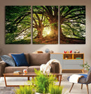 Majestic Ancient Tree Wall Art, NatureCanvas Print, Woodland by MyGreatCanvas | Canvas Wall Art Prints | Photo Prints & Wall Decor