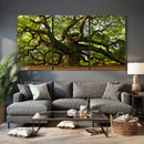 Angel Oak Tree Wall Art Canvas Print | Forest Tree Nature