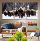 Bison Wall Art Canvas Print- Bison Herd Canvas Wall Art –