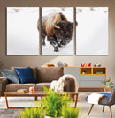 Bison Winter Wall Art Canvas Print For Farmhouse Decor