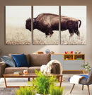 Bison in Field Wall Art Canvas Print For Farmhouse Barn