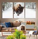 Bison Wall Art Canvas Print For Farmhouse, Animal Canvas