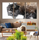 American Bison Wall Art Print – Majestic Buffalo Canvas