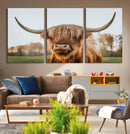 Highland Cow Animal Scottish Cattle Art Print Farmhouse Wall