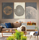 Boho Tree Ring Wall Art, Modern Minimalist Wood Grain