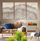 Tree Ring Wall Art Triptych, Rustic Wood Ring Canvas Print,